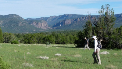 Four Corners Research specializes in archaeological consultation and cultural resource management